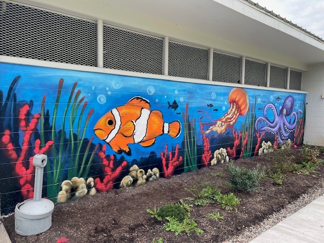 Underwater mural on the pool building